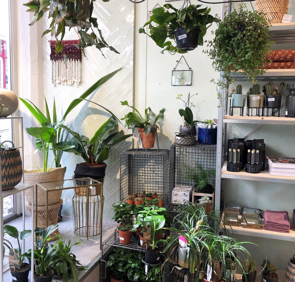 "Urban Jungle" bei MAKE MY DAY, Lieblingsladen & schöner Shoppen in Nijmegen